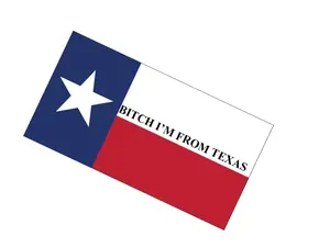 Texas State Flag- B i'm from Texas Decal Laptop Water Bottle  Scrapbook (Type A)