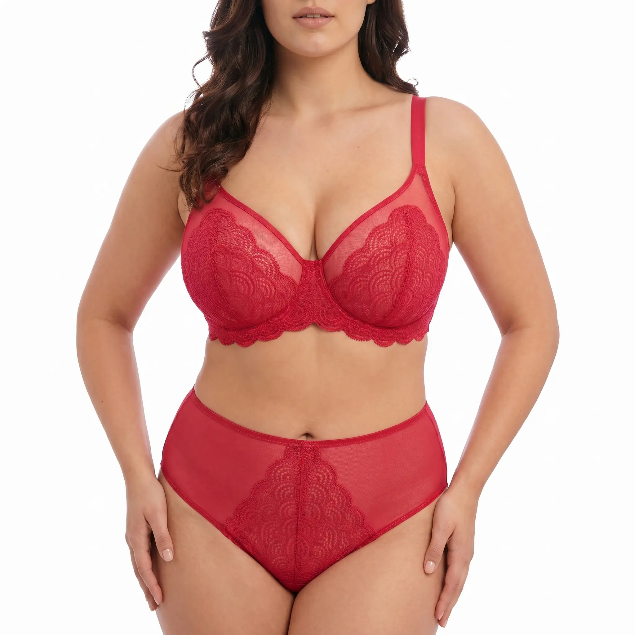 HSIA Mermaid Scales Lace Sheer Mesh Back High-Rise Brief Underwear Matching Panty