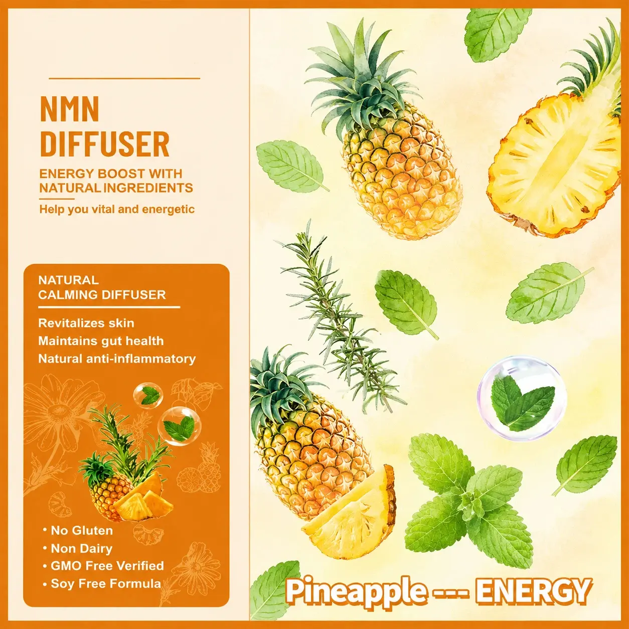 Freshens Breath, Eliminates Odors, 5 Assorted Flavors, For Men & Women, Refreshes Oral Freshness