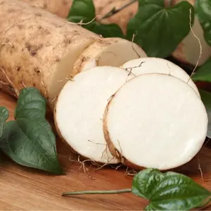 White Sweet Potato Slips for Planting - Grow Your Own White Yams from Slip 3 Slips Organic Vegetables Seeds