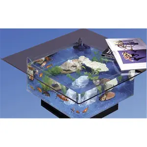 212 MAIN Midwest Tropical Aqua Coffee Table Aquarium - Fish Habitat