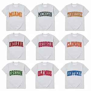 Vintage College Crewneck T-Shirt – Ash Grey, Custom University Team, Game Day Shirt, Back To School, Retro Varsity Style, Menswear & Womenswear