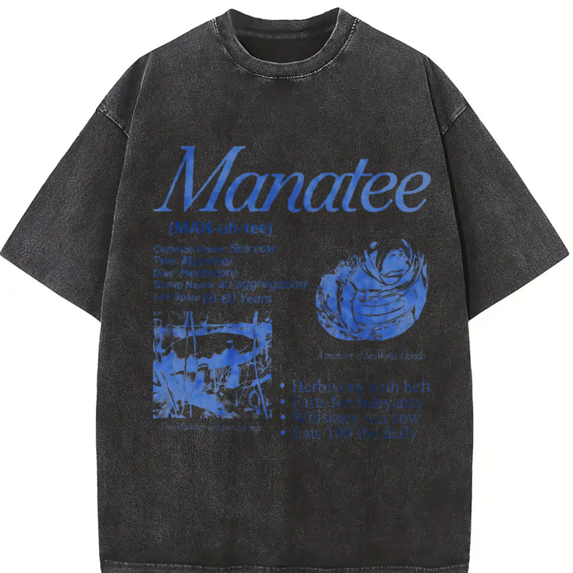 Manatee Vintage 90s Graphic T-Shirt, Retro Sea Cow Facts Info Tee, Funny Ocean Biology Shirt, Marine Science Graphic Tee, Animal Gift Unisex
