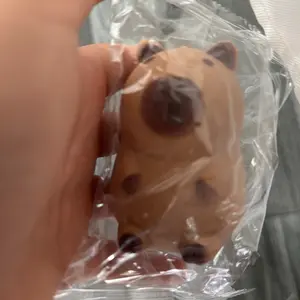 Capybara’s squishy toy