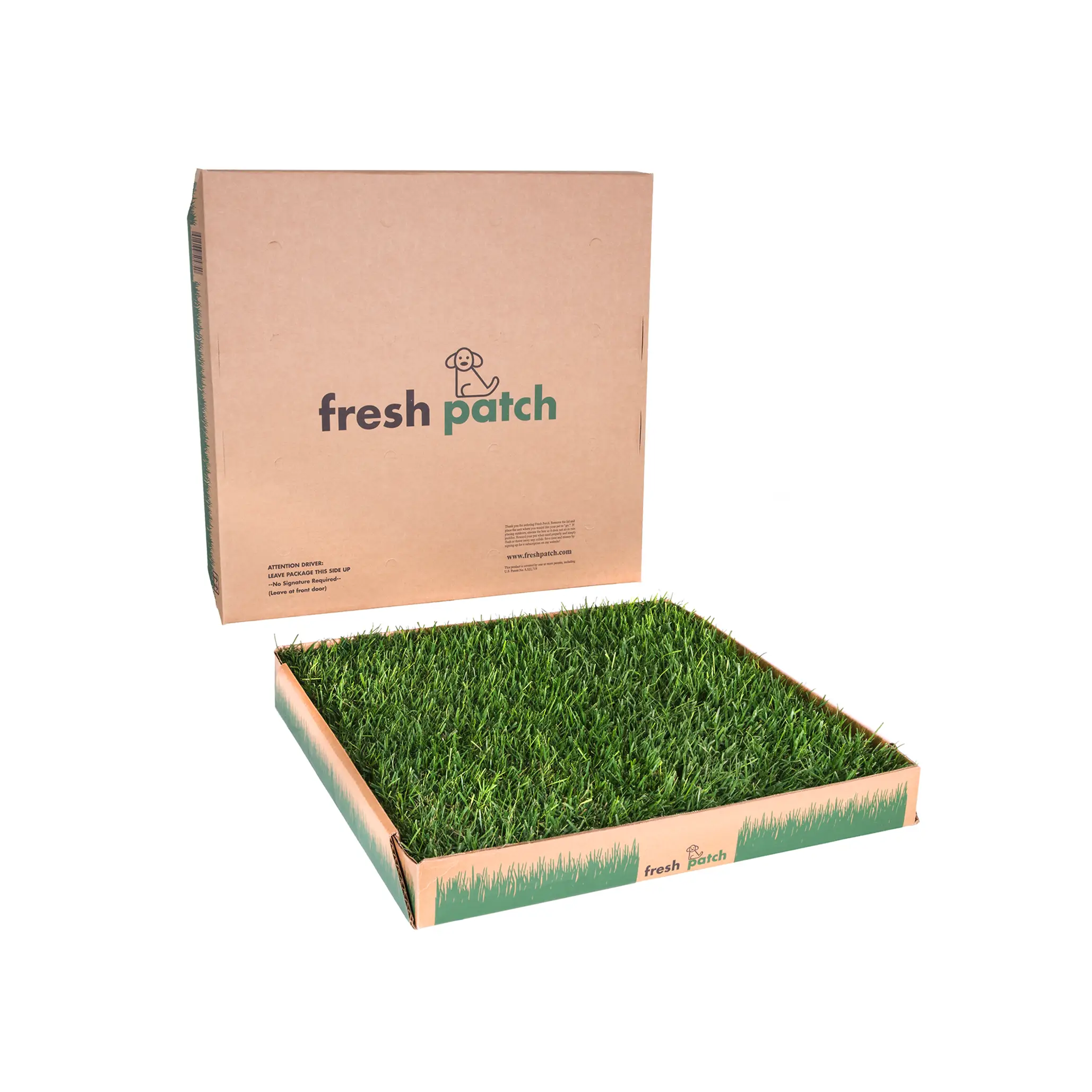 Fresh Patch Real Grass Large (24" x 24")