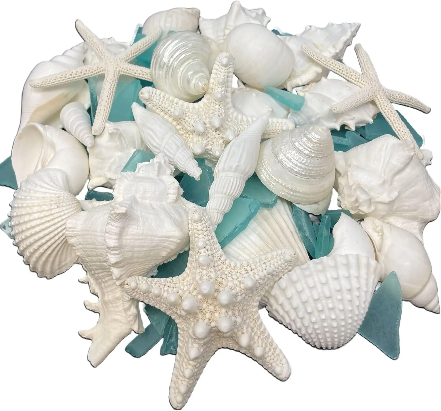 White Sea Shells, Starfish & Sea Glass for Decorating and Crafts, 1.5 lbs | Real seashell decor for beach weddings, beach decor, vase filler or sea shells for crafting wreaths, mirrors & more