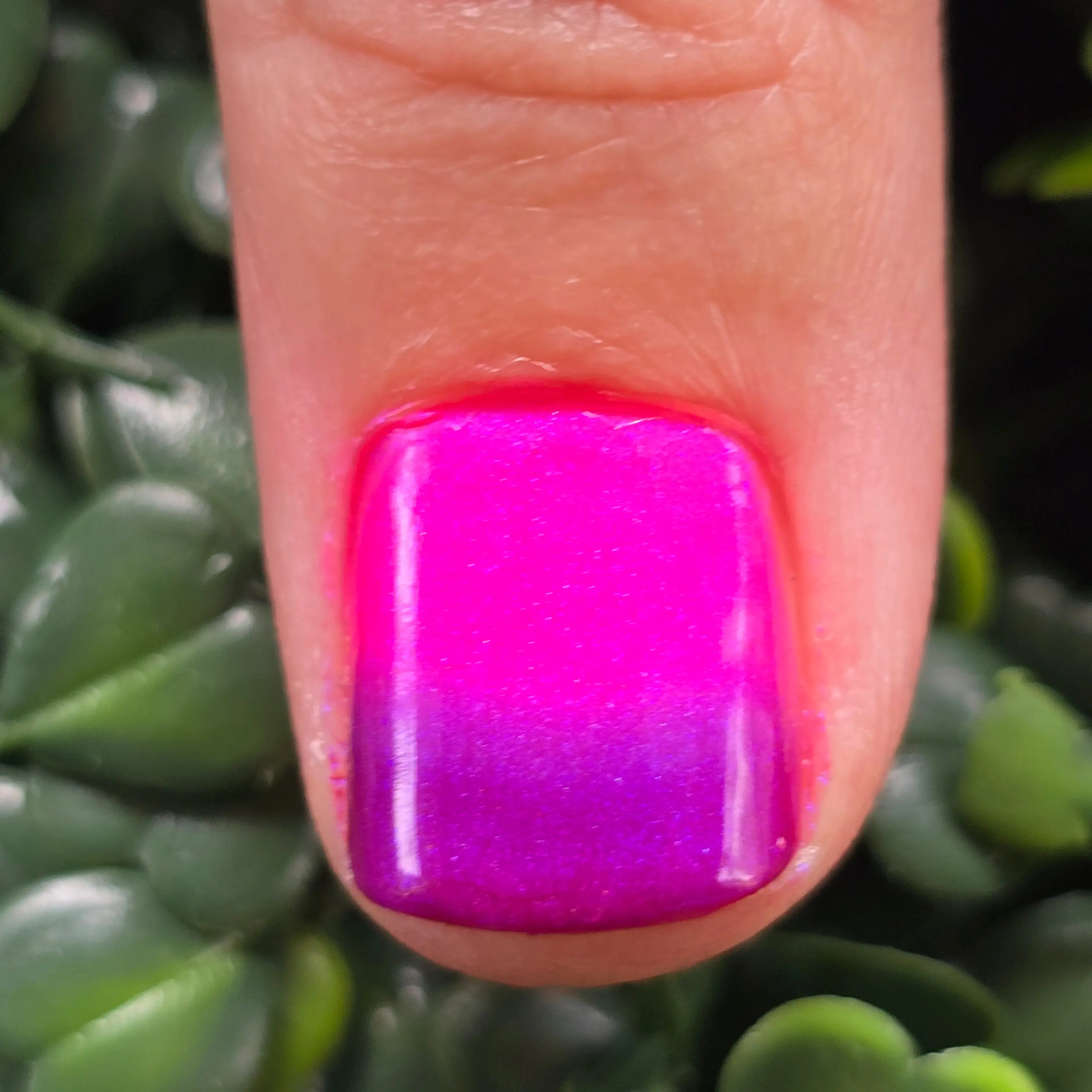 Maniac | A Tri-Thermal Polish that Shifts from Dark Brick-Red to Purple to Hot Pink with a Strong Purple Aurora Shimmer