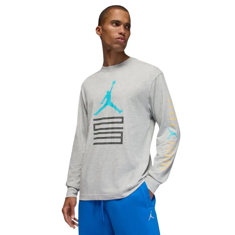 Air Jordan Men's Brooklyn AJ11 Graphic Long-Sleeve Cotton T-Shirt, Casual 100% Cotton Round Neck Grey Heather Top, Graphic Print