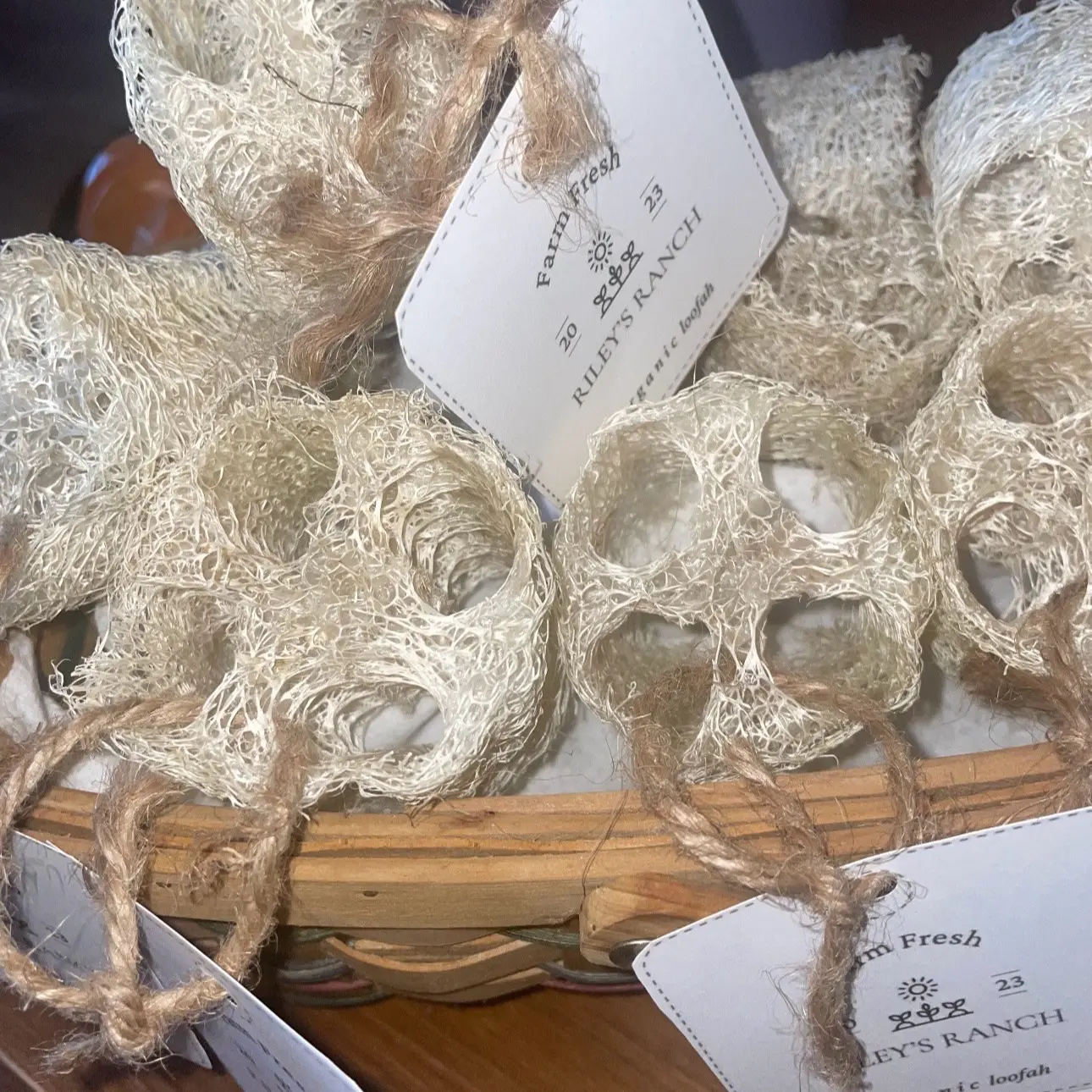 Natural Loofah