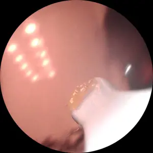 review image 2