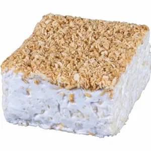 Marshmallow Crispy Cake- Toasted Coconut
