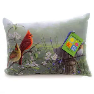 Manual Woodworkers & Weavers  18 x 13 in. Meadows Edge Dye Pillow