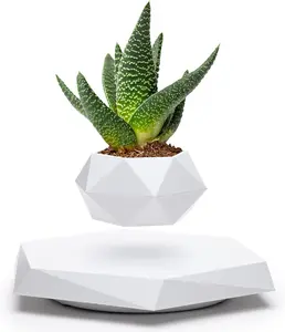 Levitating Pot - Levitating Planter for Bonsai, Succulents, Air Plants - Floating Magnetic Display for Home Office Desks - Magnetic Levitation Plant Holder