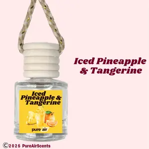 Iced Pineapple & Tangerine Pure Air Scented Air Freshener Oil Diffuser - Hangable Glass Woody Design - Lasts 60+ Days - Fragrance Oil Diffuser