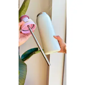 koala straw for owala freesip