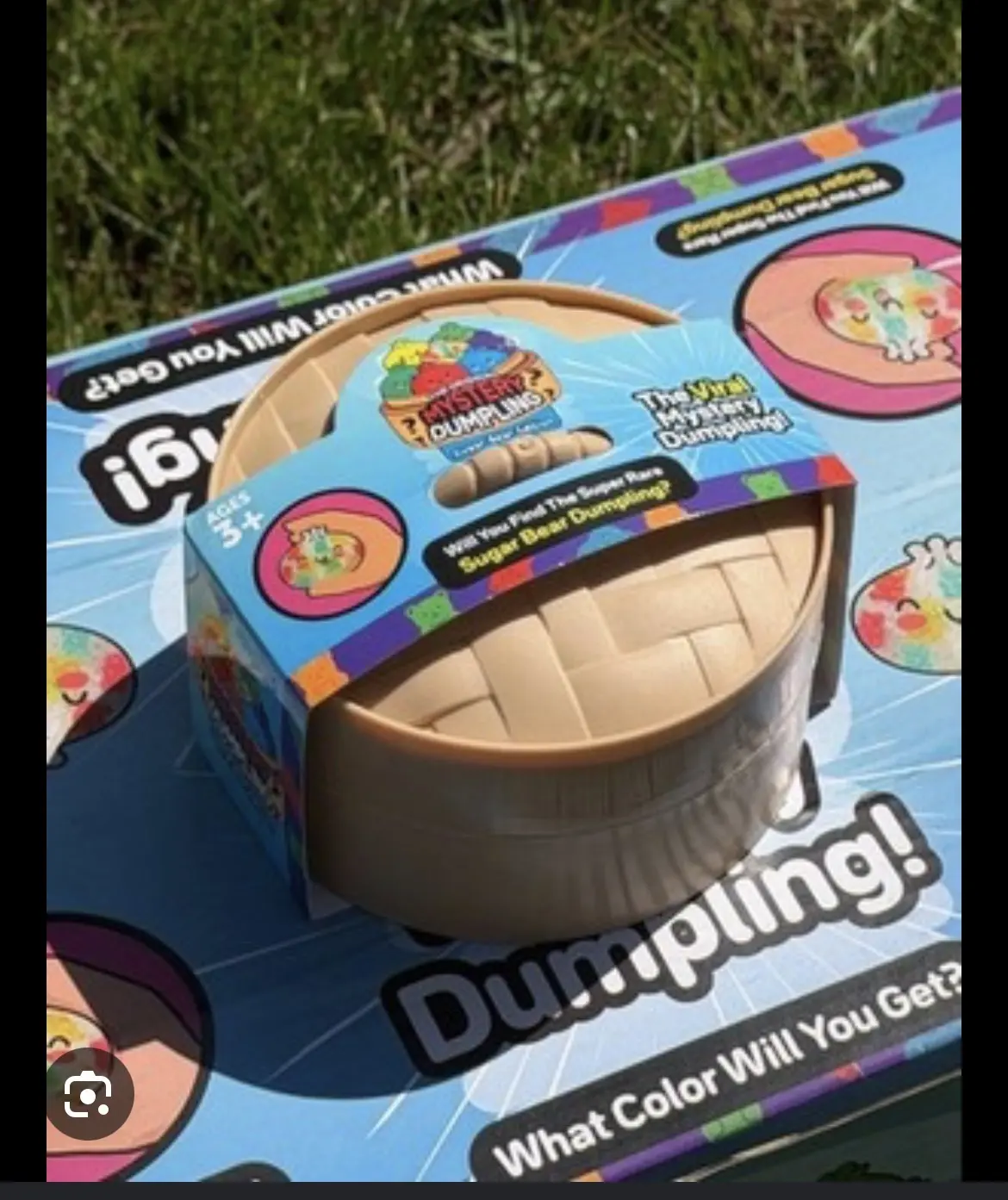 sealed color changing dumplings