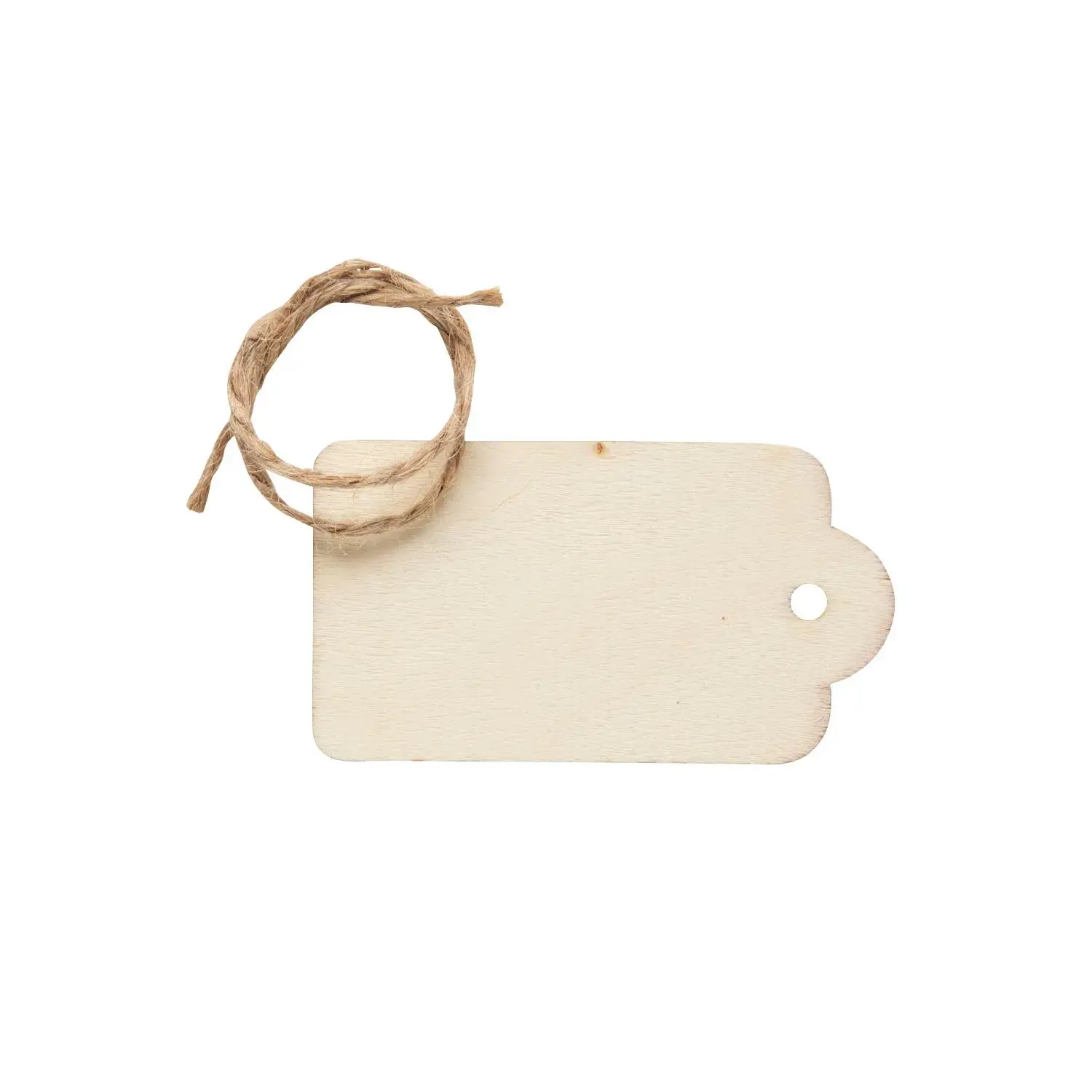 DIY Unfinished Wood Tags - 12 pieces