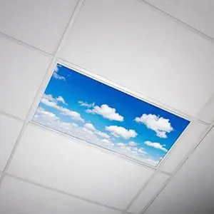 Fluorescent Light Cover - Cloud 011