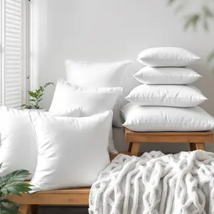 Pillow Inserts