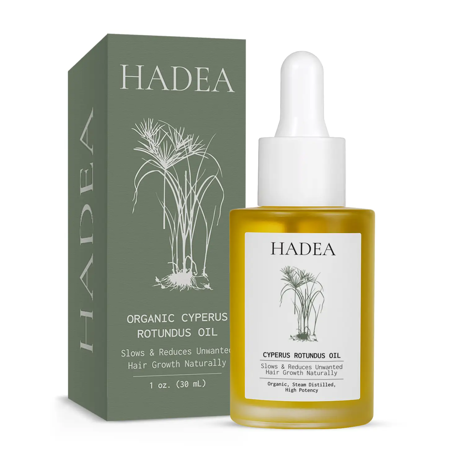 HADEA Cyperus Rotundus Oil - 100% Organic, High Potency, Steam Distilled, Improv...