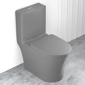 WinZo WZ5022H Modern Grey Toilet One Piece Dual Flush High Efficiency 1.1/1.6 GPF Elongated Double Cyclone Flushing,Matte Grey