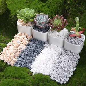 Natural Decorative Rocks 0.44/1.76lb Mixed Colors Pebbles, Aquarium Garden Outdoor Decoration, Fish Tank Sand Vase Filler, Holiday Decorations