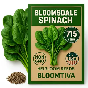 Bloomtiva Bloomsdale Spinach Seeds for Planting Outdoors and Indoors - 715 Heirloom - Spinach Seeds for Hydroponics – High Germination Rate - Made in  (Spinacia Oleracea)