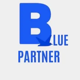Blue Partner Llc