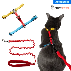 "The Day Tripper" Perfect Adjustable H-Style Cat Harness & Bungee Leash Set - Color Block