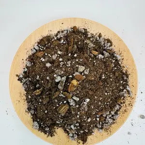 Happy Houseplant Haven's Chunky Classic Potting Mix Mycorrhizae-Enhanced Peat-Based Soil Blend Perlite & Orchid Bark