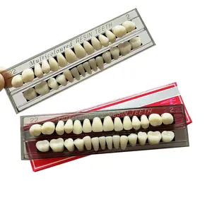 56pcs Dental Synthetic Resin Teeth Denture False Tooth Denture Model Teeth 2 Sets Halloween Horror Teeth, 22 A2