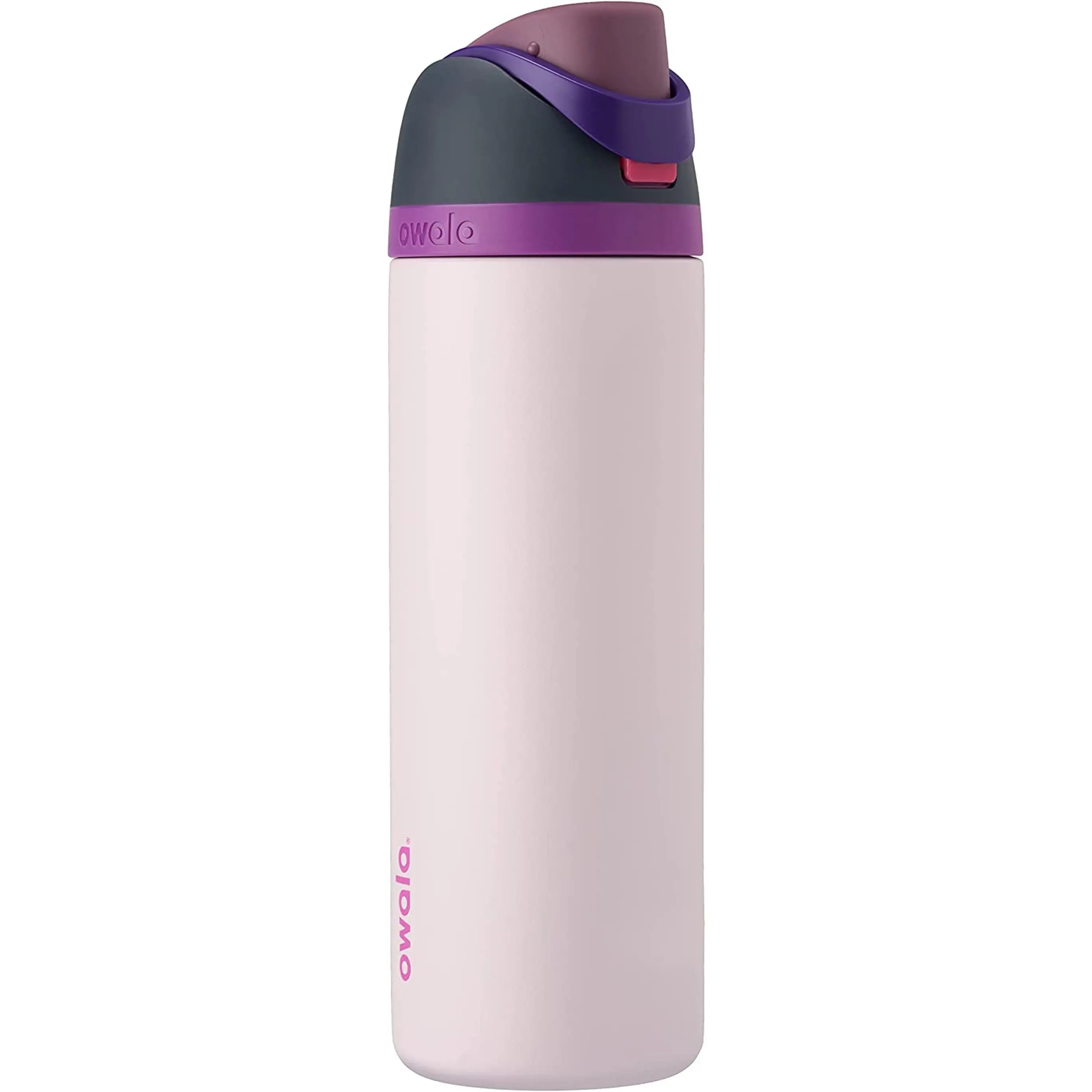 Freesip Insulated Stainless Steel Water Bottle with Straw for Sports and Travel, Bpa-Free, 24Oz, Dreamy Field