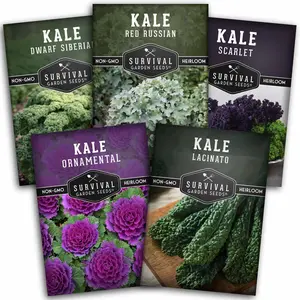 Kale Seed Collection - 5 Hearty Heirloom Varieties
