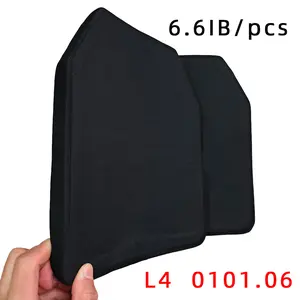 PEALO  Training  Weight  Plate,  6.6lbs  10x12  Inch  Plate 3kg Weight Plate for Strength Training, Gym 10x12 Inch Fitness Lifting Plate for Home Gym