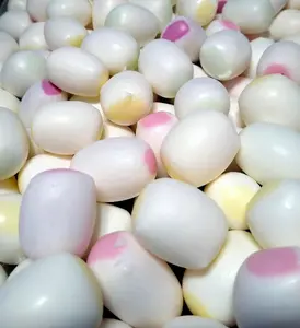 Freeze Dried HiChews Freeze dried hi-chews, Freeze-Dried Hi-chews