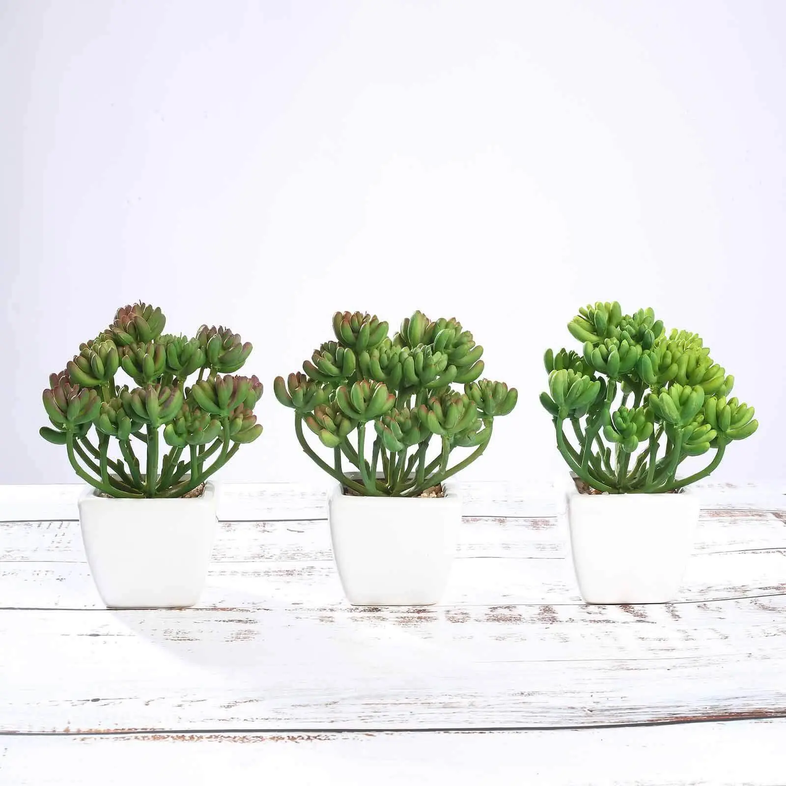 7" 3-Pack Lifelike Fake Stonecrop Artificial Succulents in Ceramic Pots - Indoor Faux Plant for Home Office Floral Decor, Plant Decor