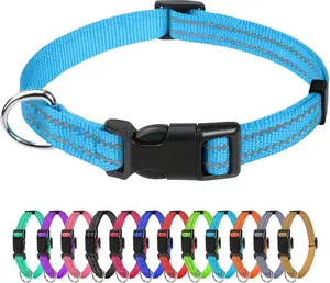 Basic Reflective Nylon Small Dog Collar - 3/8" Width, Quick Release Buckle, Sky Blue for Male Small Dogs
