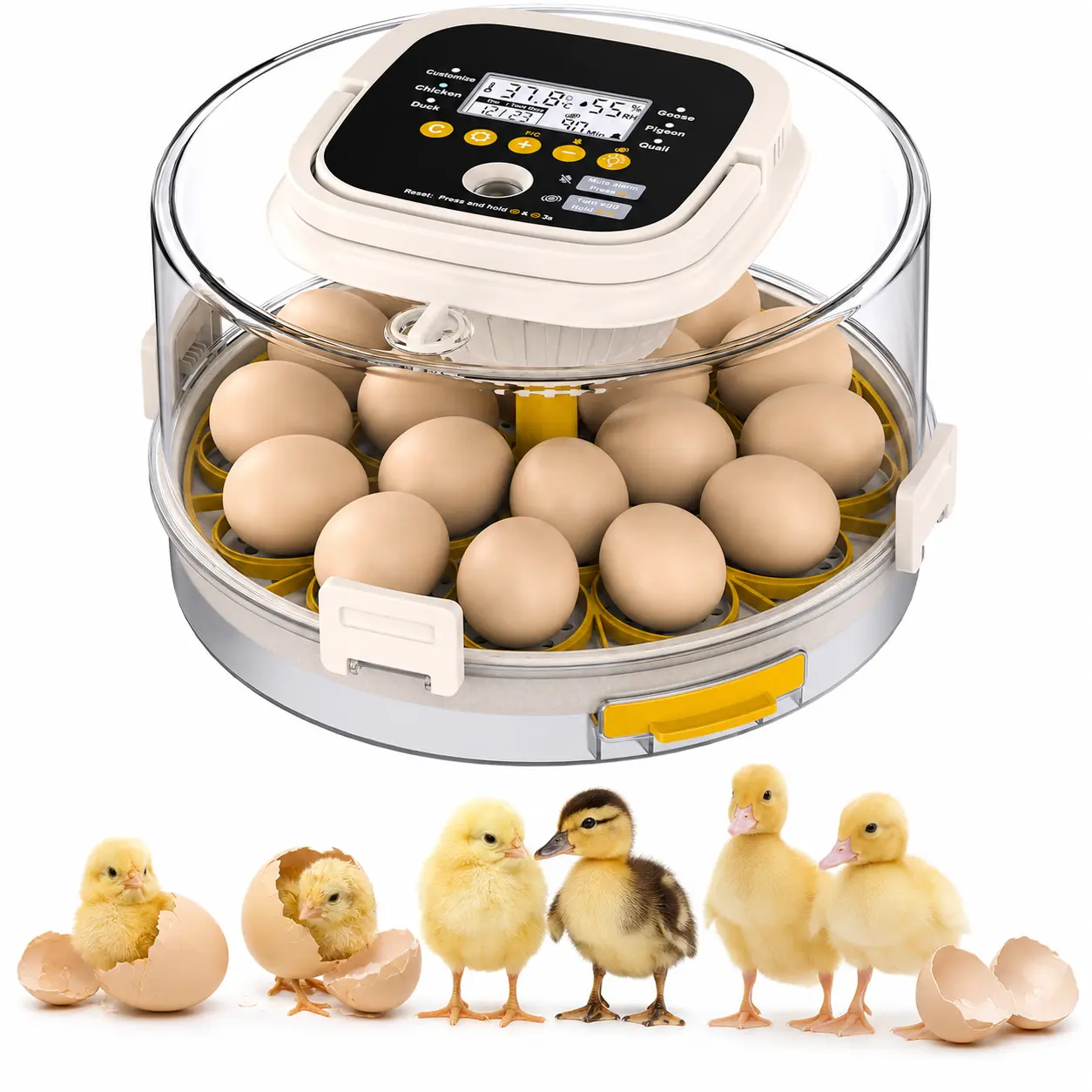 Chicken Egg Incubator 18 Eggs Automatic 760° Egg Turner with Digital Display Auto Temperature Humidity Control for Hatching Chicken Duck Quail Eggs High Hatch Rate Poultry Incubator - Hatchery