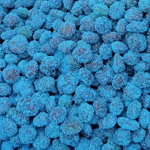 Xtrendy Candies Best Sour Blue Raspberry Gushers - Trending Snack on Tiktok - Candy