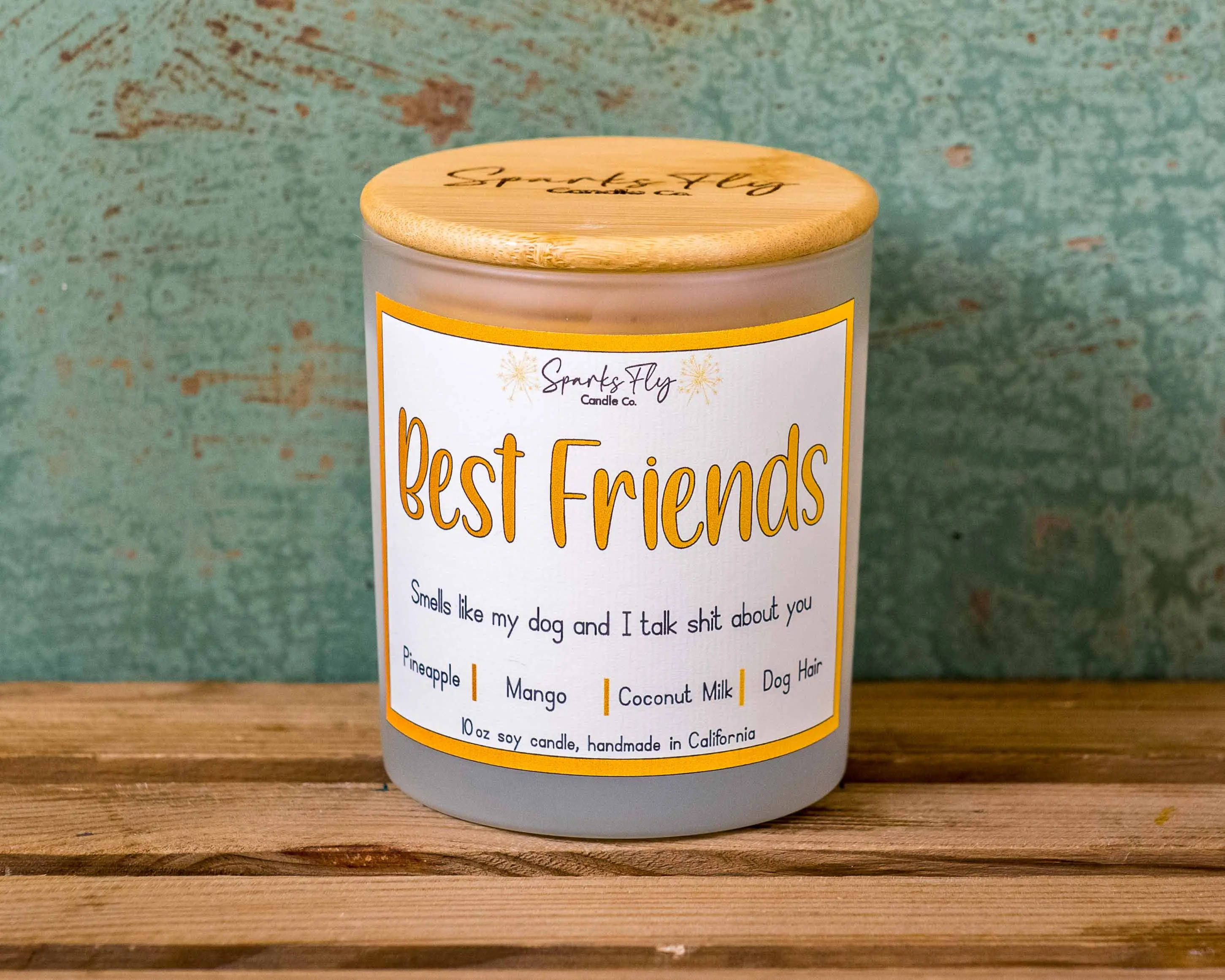 Best Friends: Smells like my dog and I talk shit about you!     Soy Candle