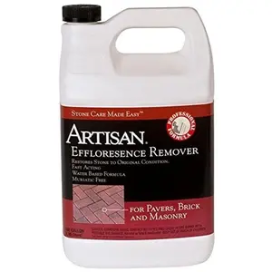 Chemique  Chemique Artisan 1-gal. Efflorescence Remover