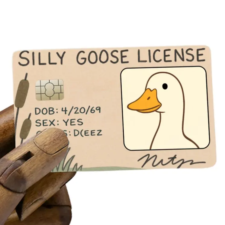 Silly Goose Funny Card Cover – Meme License Design for Chaotic Good Energy