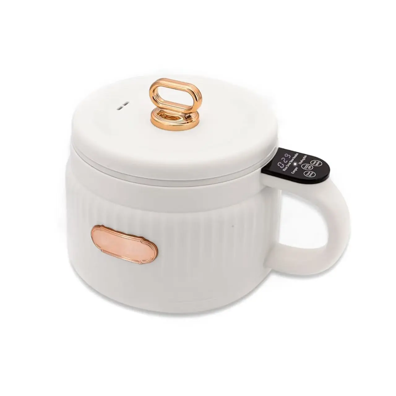 1.6 QT Portable Electric Multifunction Rice Cooker & Plastic Lunch Maker - Non-Stick Ceramic Coating, Digital Control Panel, 600W Heating Element, 6 Cook Functions (Rice, Soup, Stew, Porridge), Keep Warm, Anti-Burn Dry Technology