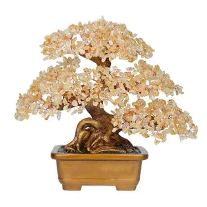 Crystal Self-Service Checkout code