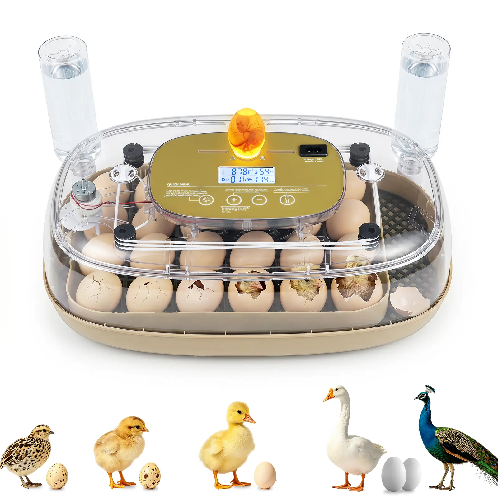 COSTWAY Egg Incubators for Hatching Eggs, for Chicken, Duck & Quail Eggs | | Hold 12-42 Eggs | Temperature & Humidity Control | Automatic Egg Turning | Egg Candler | 2 Water Bottles | Air Vents
