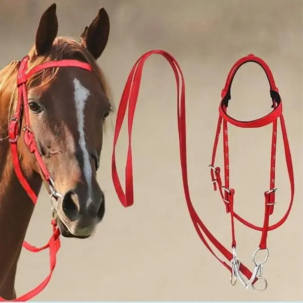 Colourtree Rein for Horse - Adjustable Riding Bridle | Headstall Reins with, Western Horse Tack, Durable Ranch Rope Rein, Animal Harness Equipment, Equestrian Gear for Training and Trail Riding
