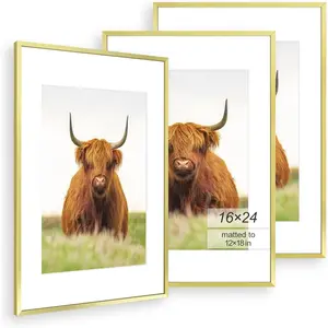 , 16x24 Picture Frame Set of 3,  Thin Border, Display Photo 12x18 with Mat or 16x24 Without Mat, Poster Frame for Wall Hanging Horizontal and Vertical