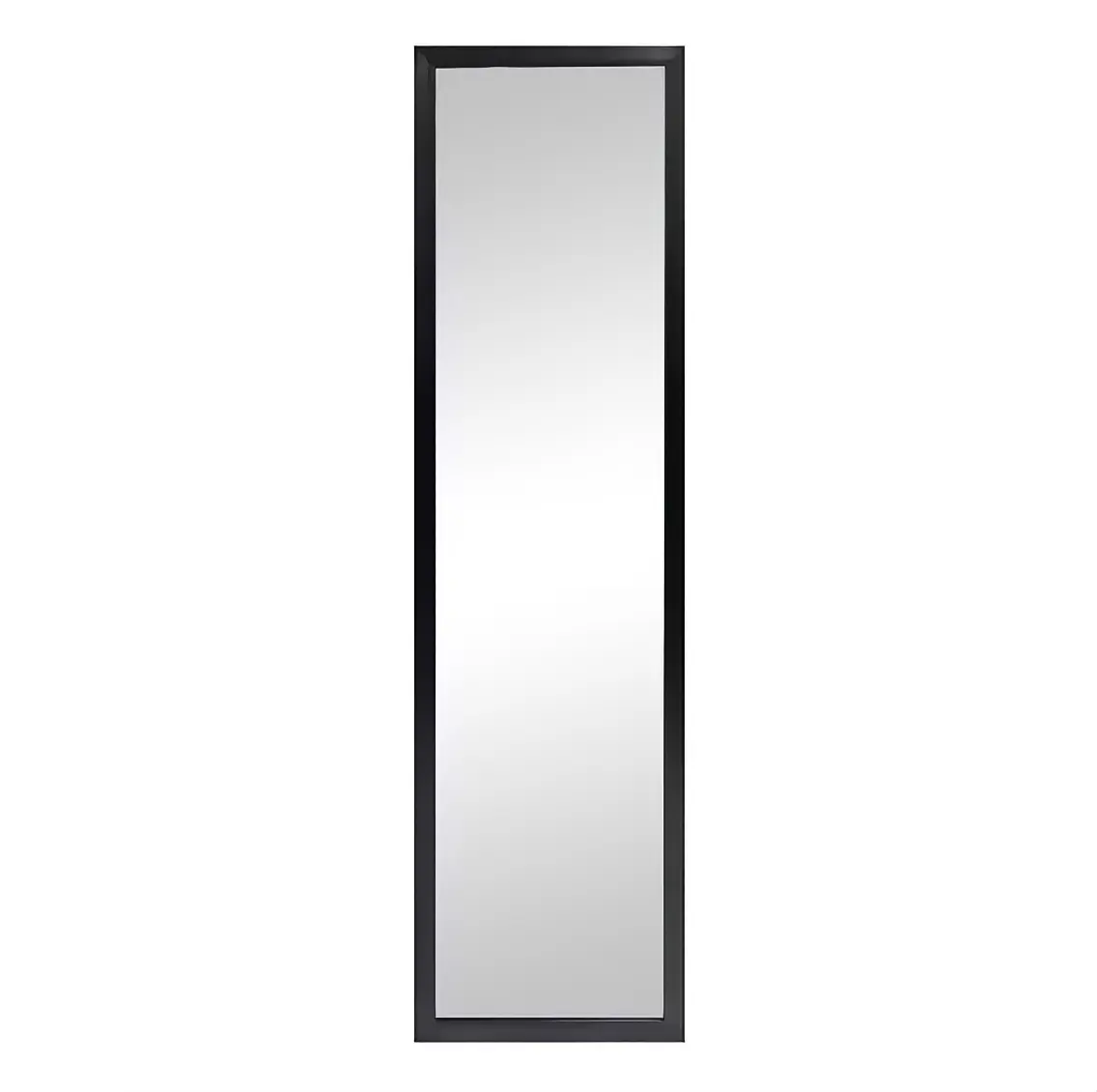 13.5 in x 49.5 in Black Modern Door Mirror