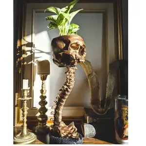 Gothic Resin Skull Planter with Spine Support, Realistic Skeleton Succulent Pot for Indoor Home Office Decor, Halloween Horror Theme Decoration