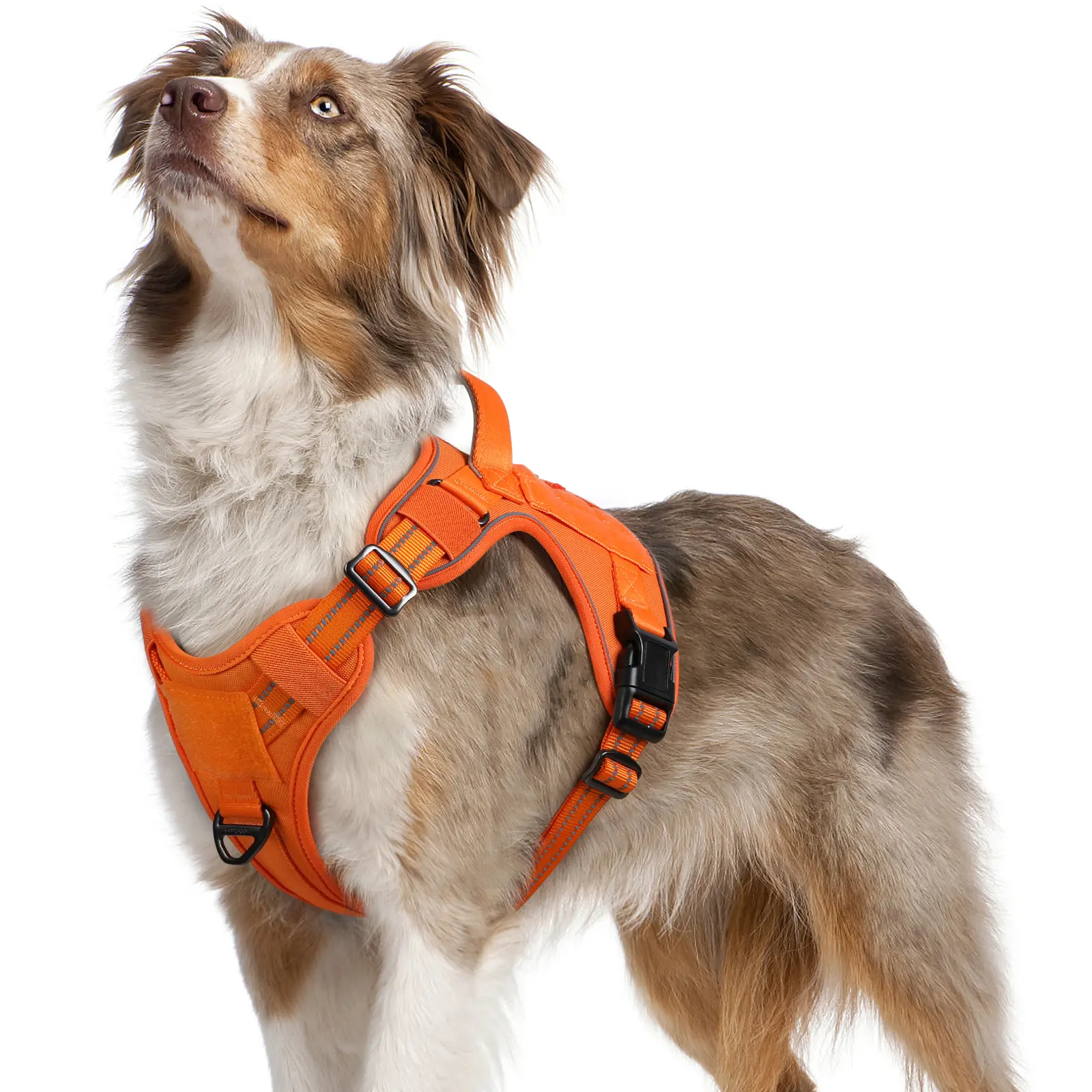Rabbitgoo Escape Proof Tactical Dog Vest Harness Rabbitgoo Escape Proof Tactical Dog Vest Harness